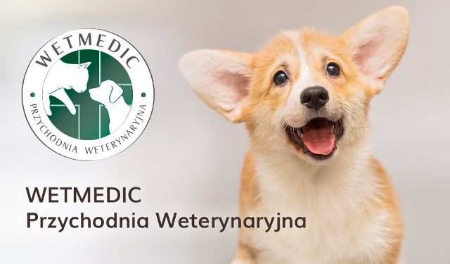 Przychodnia Weterynaryjna Wetmedic