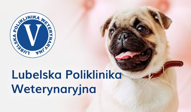 Lubelska Poliklinika Weterynaryjna Grupa LUXVET 