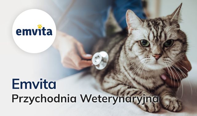 Przychodnia Weterynaryjna Emvita