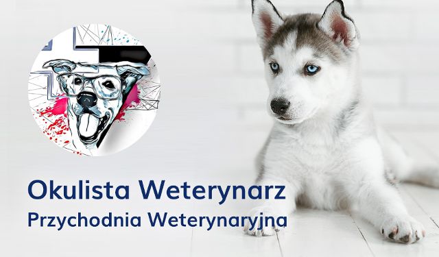 Przychodnia Weterynaryjna Oczko-Vet Okulistyka Zwierząt