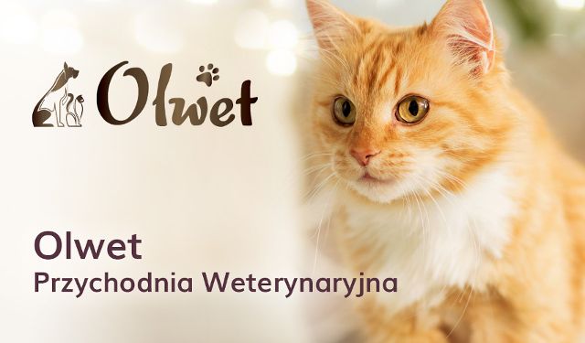 Przychodnia Weterynaryjna Olwet