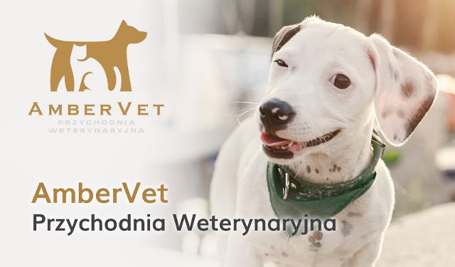 Przychodnia Weterynaryjna AmberVet
