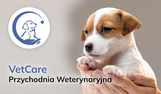 Przychodnia Weterynaryjna VetCare