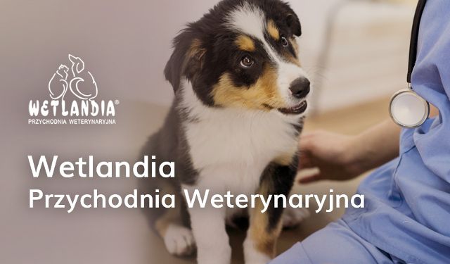 Przychodnia Weterynaryjna Wetlandia 