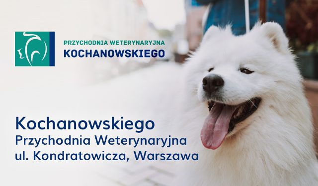 Przychodnia Weterynaryjna Kochanowskiego Sp. z o.o.