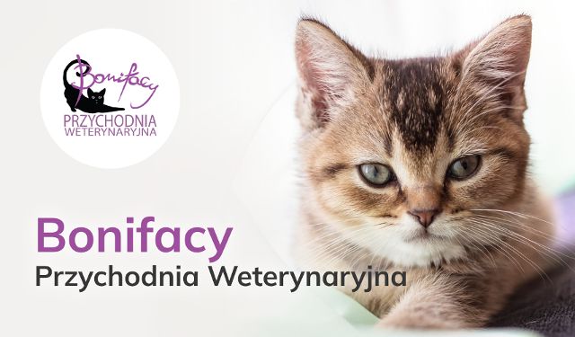 Przychodnia Weterynaryjna Bonifacy