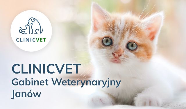 Gabinet weterynaryjny ClinicVet Janów