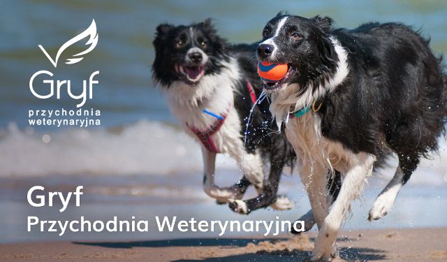 Przychodnia Weterynaryjna Gryf