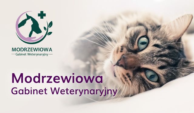 Gabinet Weterynaryjny Modrzewiowa