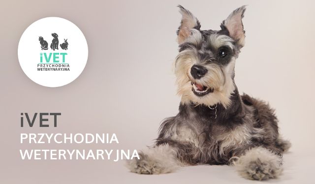 Przychodnia Weterynaryjna iVet