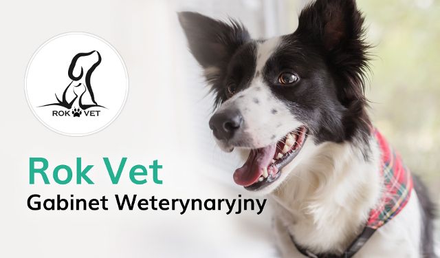 Gabinet Weterynaryjny Rok Vet