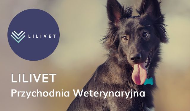 Lecznica weterynaryjna LILI VET