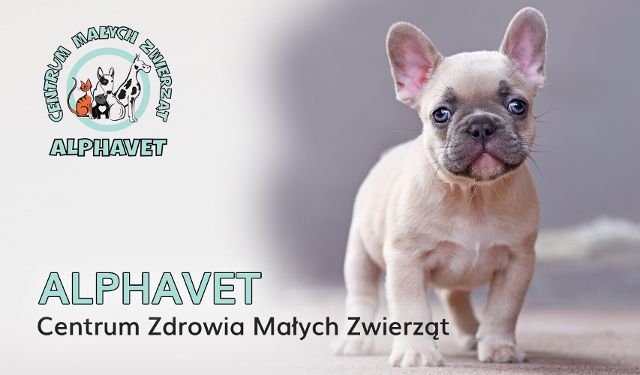 Przychodnia Weterynaryjna Alphavet