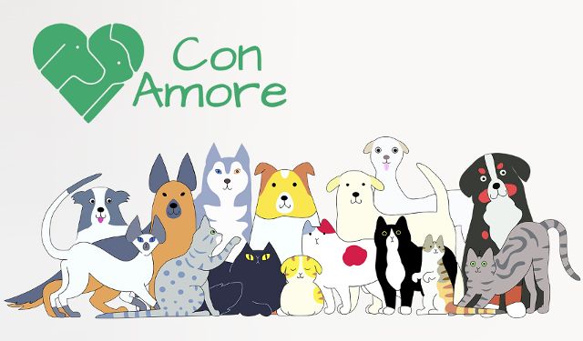 Con Amore Przychodnia Weterynaryjna