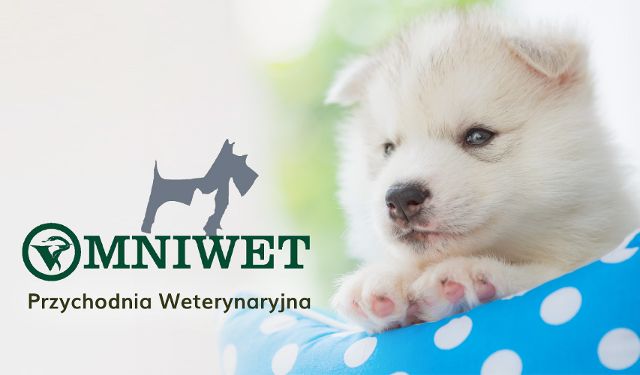 Przychodnia Weterynaryjna Omniwet
