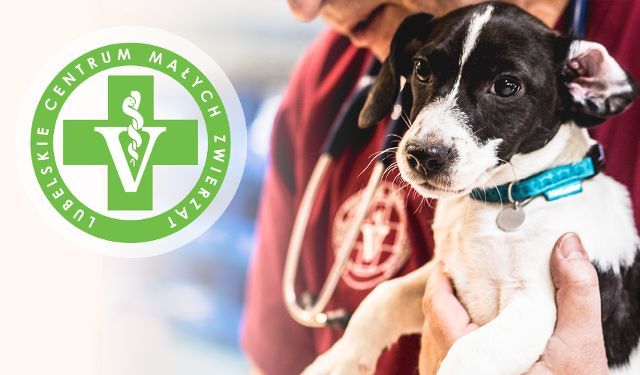 Lubelskie Centrum Małych Zwierząt