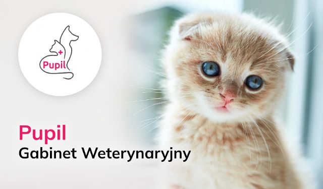 Gabinet Weterynaryjny Pupil