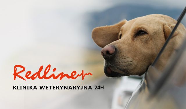 Klinika Całodobowa Redline sp. j.