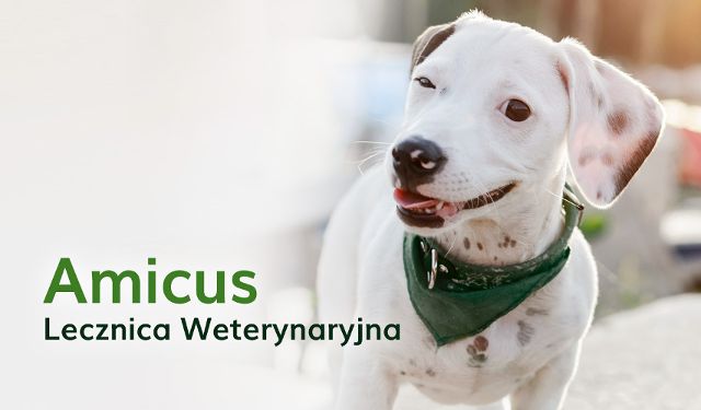 Przychodnia Weterynaryjna Amicus