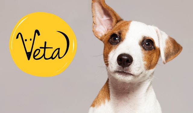 Przychodnia Weterynaryjna VETA