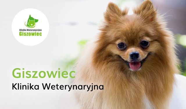 Klinika Weterynaryjna Giszowiec