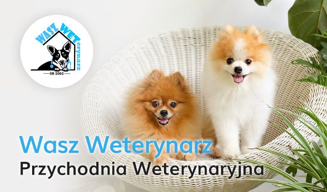 Przychodnia Weterynaryjna Wasz Weterynarz
