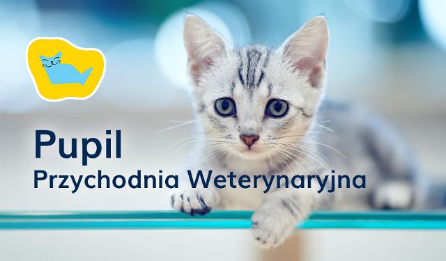 Przychodnia Weterynaryjna Pupil