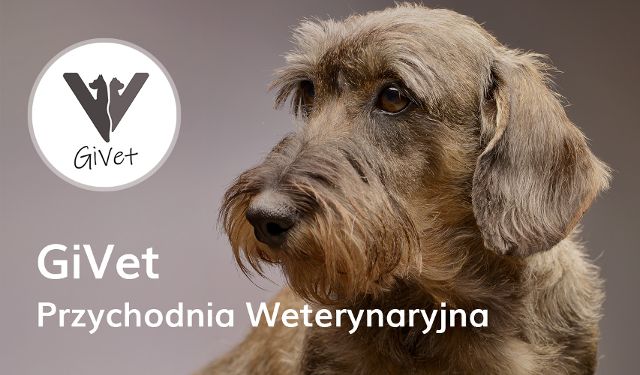 Przychodnia Weterynaryjna GiVet