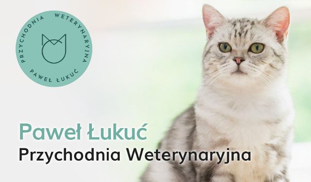 Przychodnia Weterynaryjna Paweł Łukuć