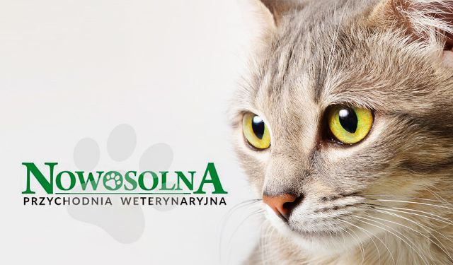 Przychodnia Weterynaryjna NOWOSOLNA