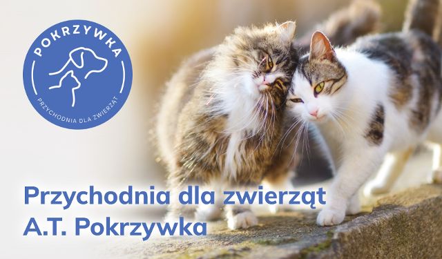 Przychodnia dla zwierząt Pokrzywka