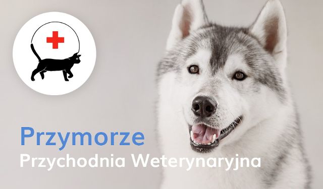 Przychodnia Weterynaryjna Przymorze Katarzyna Grodź