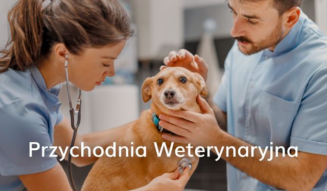 Przychodnia Weterynaryjna