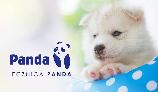Lecznica Panda