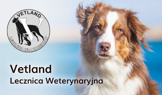 Lecznica dla zwierząt VETLAND
