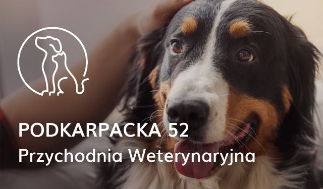 Przychodnia Weterynaryjna Podkarpacka 52