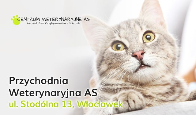 Przychodnia Weterynaryjna AS 