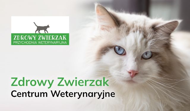 Centrum weterynaryjne Zdrowy Zwierzak Wieliczka