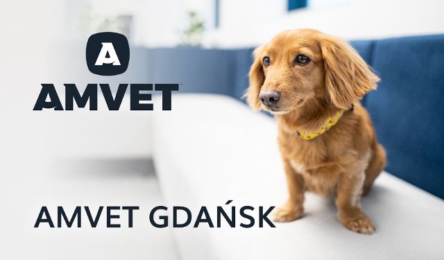 AMVET Specjalistyczna Placówka Weterynaryjna 
