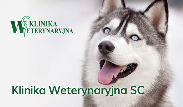 Klinika Weterynaryjna Gdynia S.C