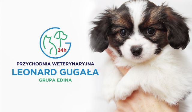 Przychodnia Weterynaryjna Leonard Gugała, Grupa EDINA