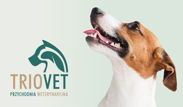Przychodnia weterynaryjna Trio-vet