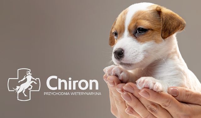 Przychodnia Weterynaryjna Chiron