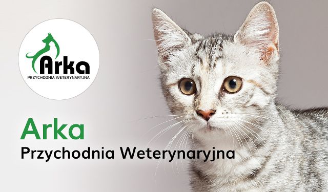 Przychodnia weterynaryjna Arka