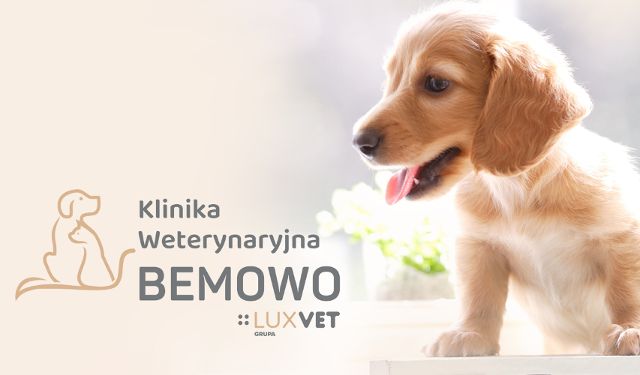 Klinika Weterynaryjna Bemowo Grupa LUXVET