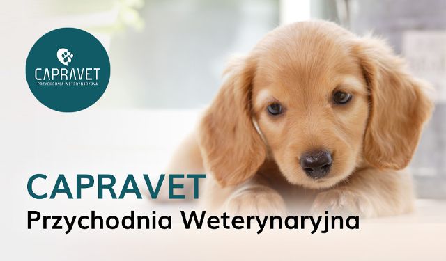 Przychodnia Weterynaryjna Capravet