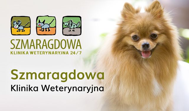 Klinika Weterynaryjna Szmaragdowa