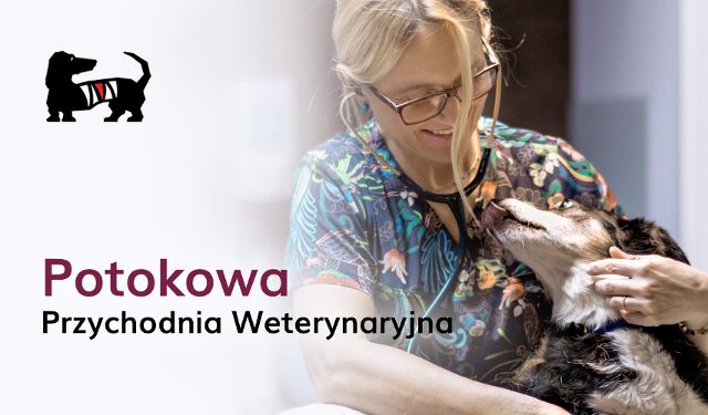 Przychodnia Weterynaryjna Potokowa