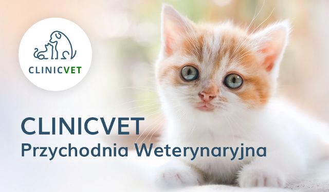 Przychodnia weterynaryjna CLINICVET