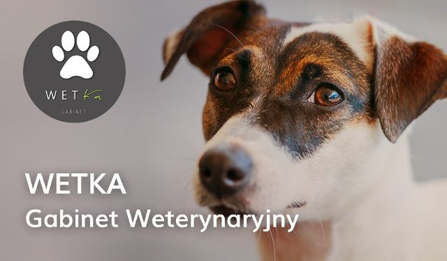Gabinet Weterynaryjny "WETKA", Szamotuły